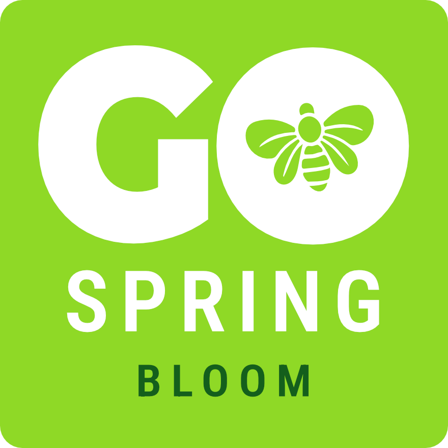 GO Spring