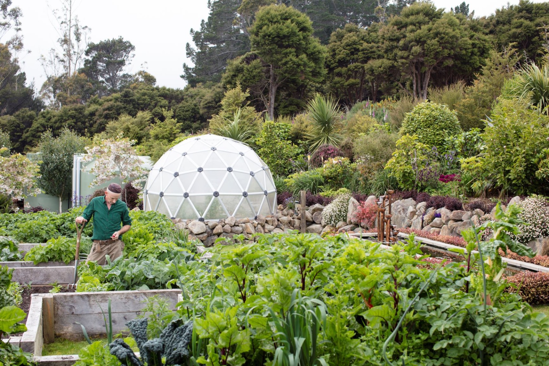 A hands-on planting workshop