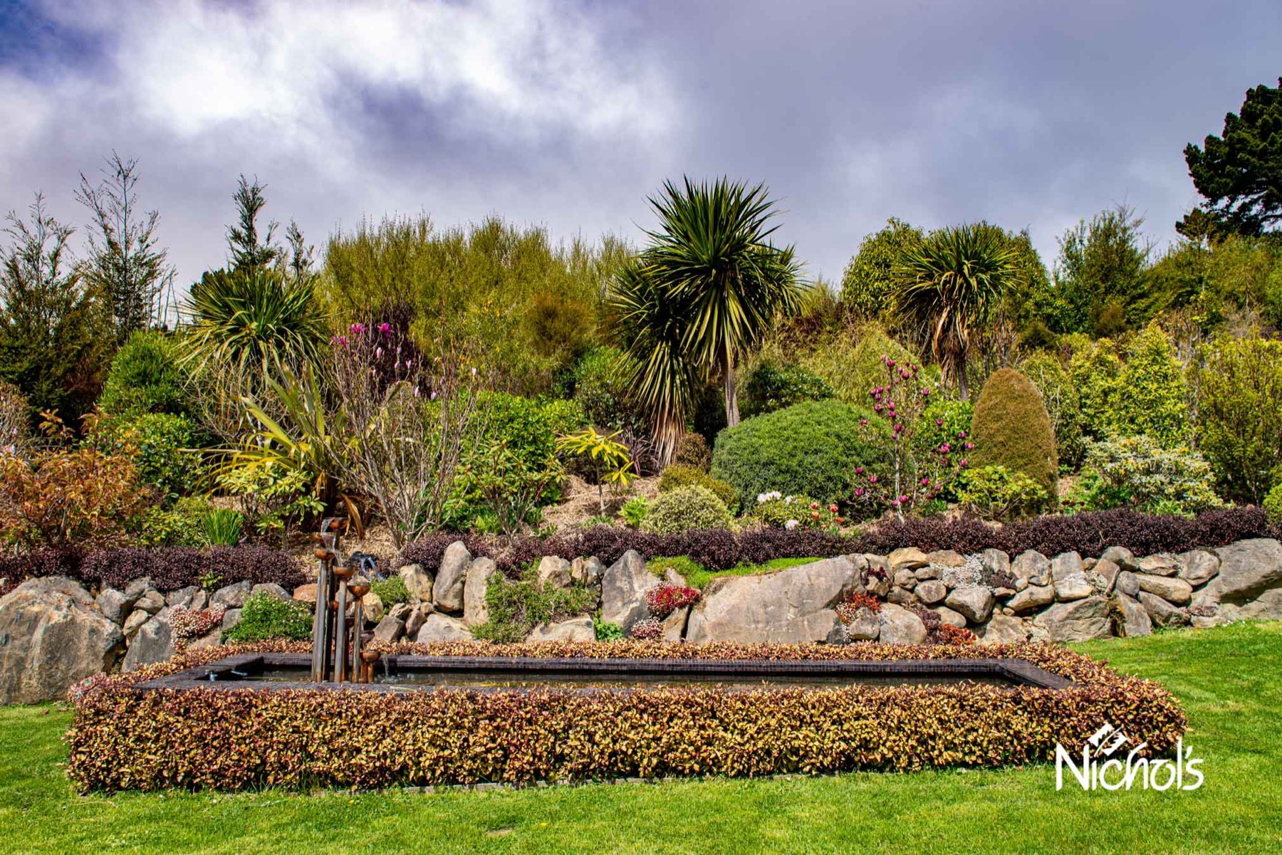 A Dunedin garden in the still of winter