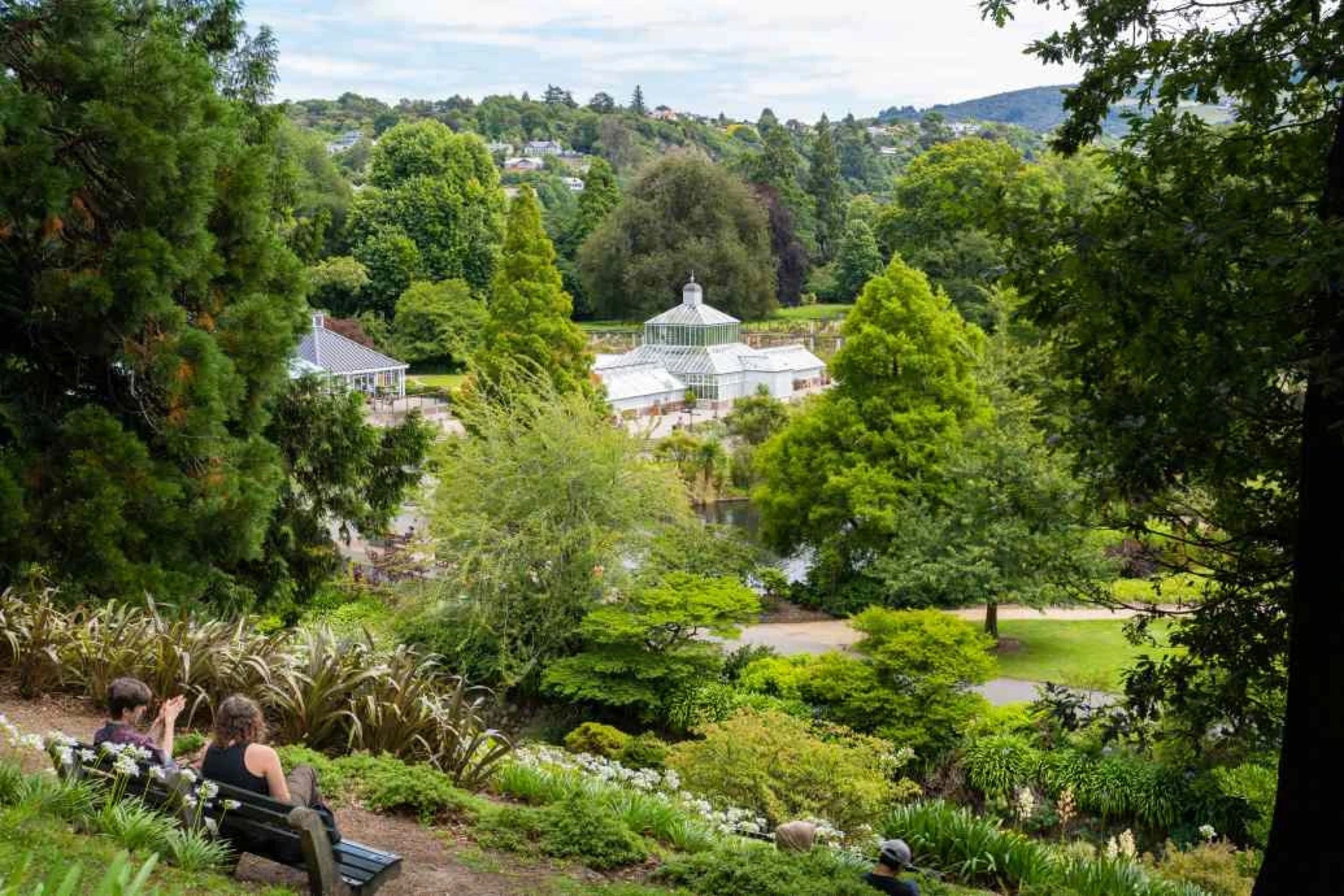 A Dunedin garden in spring