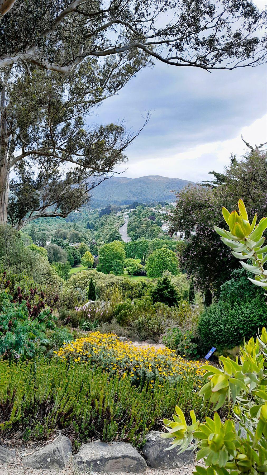 A view over the Geographic Collection at the Dunedin Botanic Garden